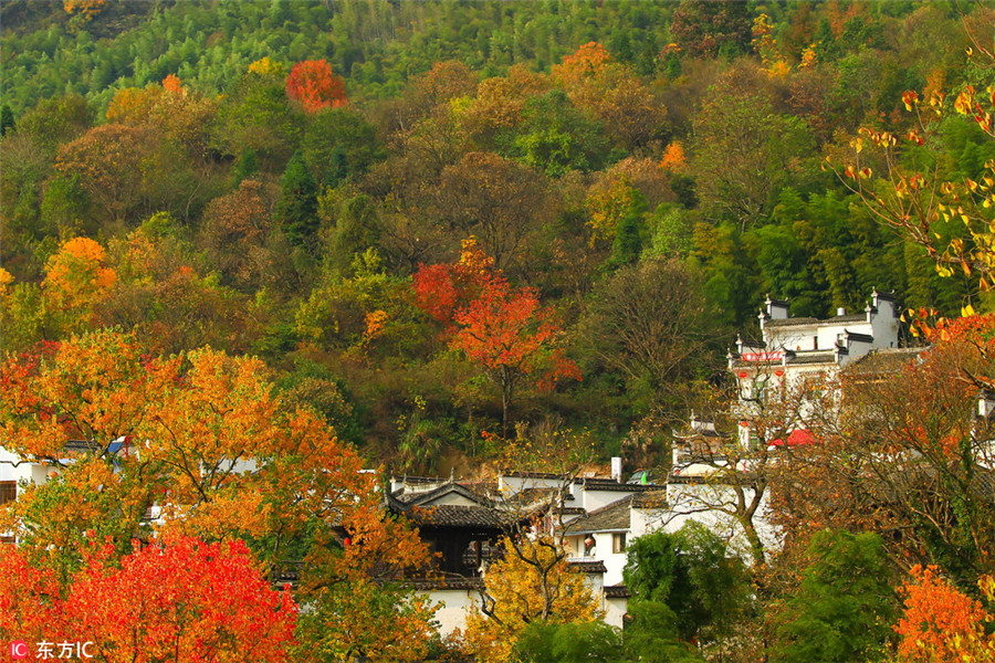 Tachuan a top destination for autumn photography