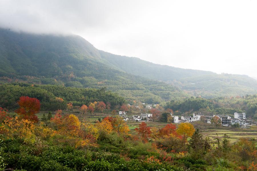 Scenery of Tachuan village in E China's Huangshan