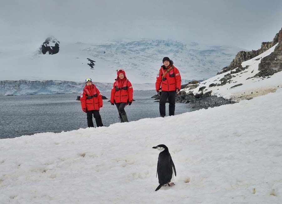 More than Antarctic - A fantastic journey