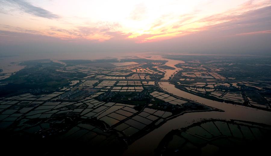 Shrimp pools seen in South China's Guangxi