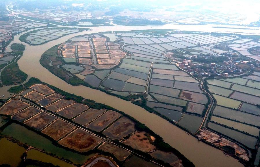 Shrimp pools seen in South China's Guangxi