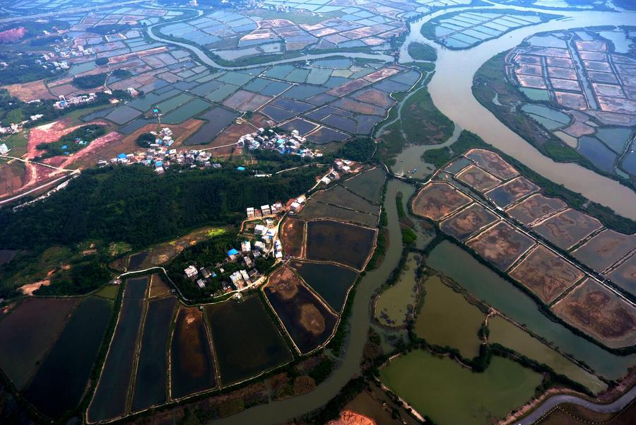 Shrimp pools seen in South China's Guangxi