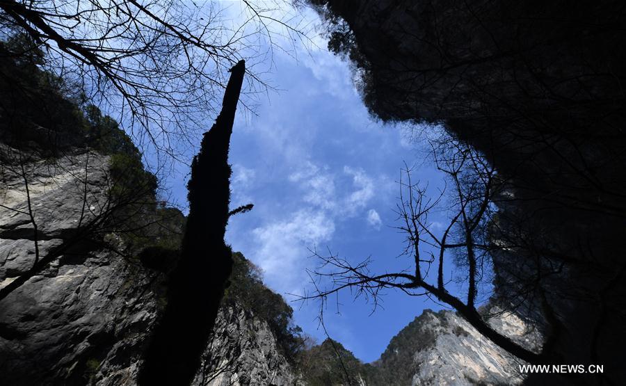 Gift from earth: Giant karst sinkholes found in NW China