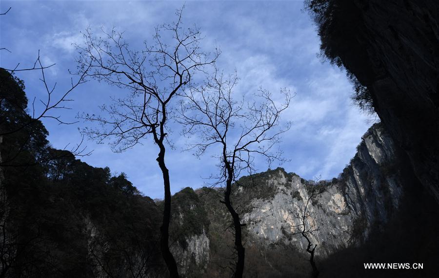 Gift from earth: Giant karst sinkholes found in NW China