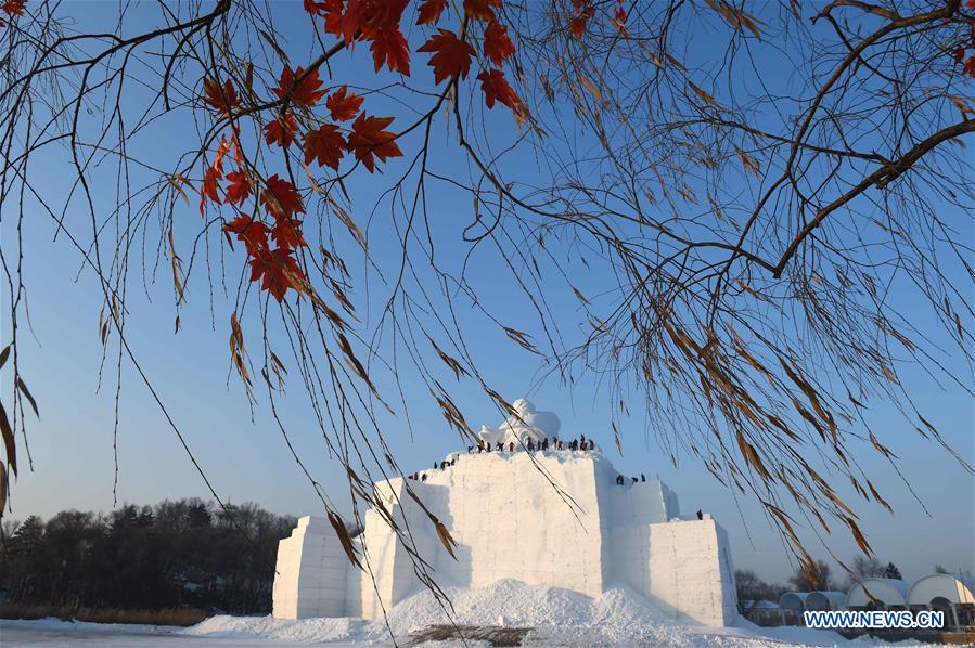 Sun Island Int'l Snow Sculpture Art Expo kicks off in NE China