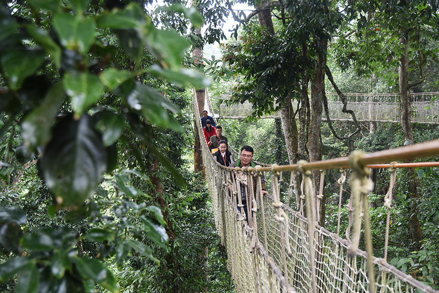 The world’s highest treetop corridor in Yunnan offers thrilling adventure
