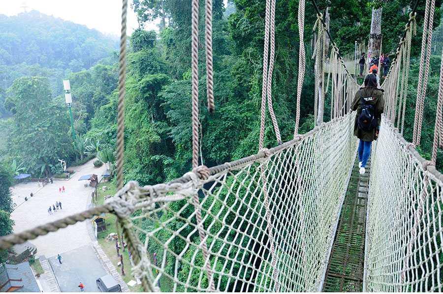 The world’s highest treetop corridor in Yunnan offers thrilling adventure