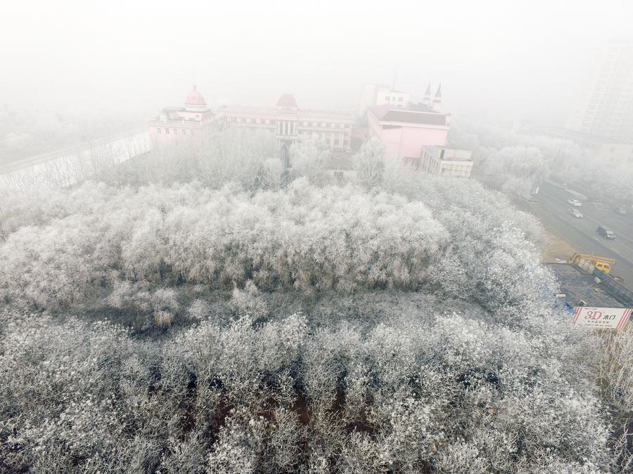 Scenery of rime in North China's Hebei