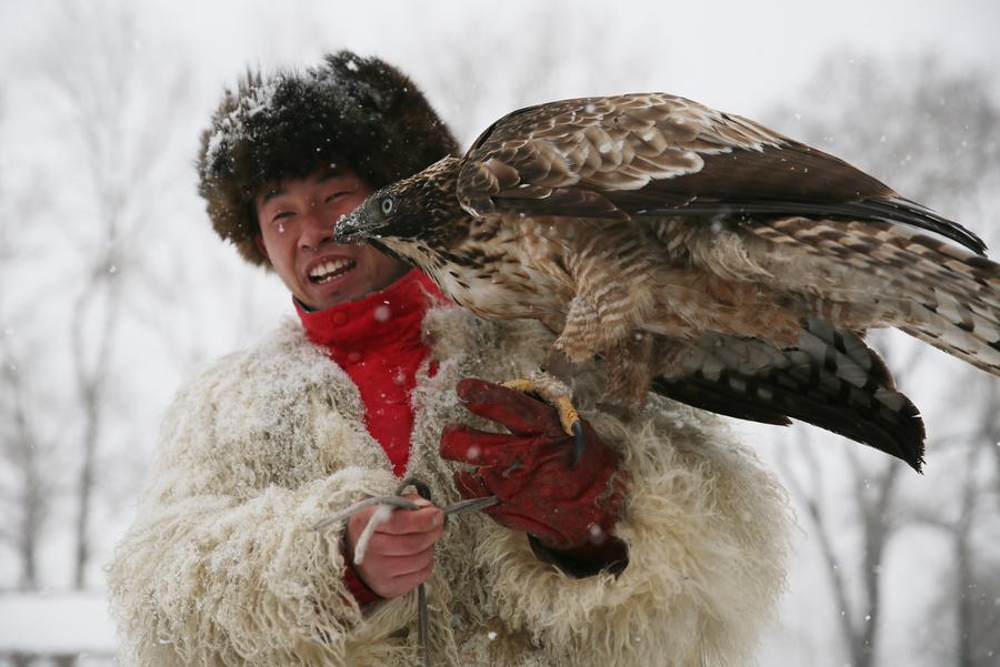 Traditional falconry seen at local tourism festival in Jilin