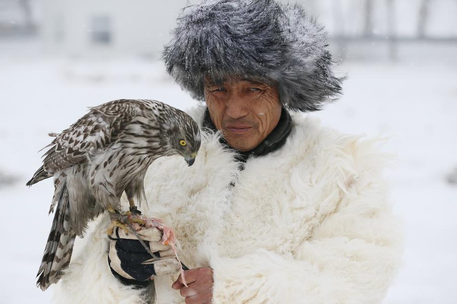 Traditional falconry seen at local tourism festival in Jilin