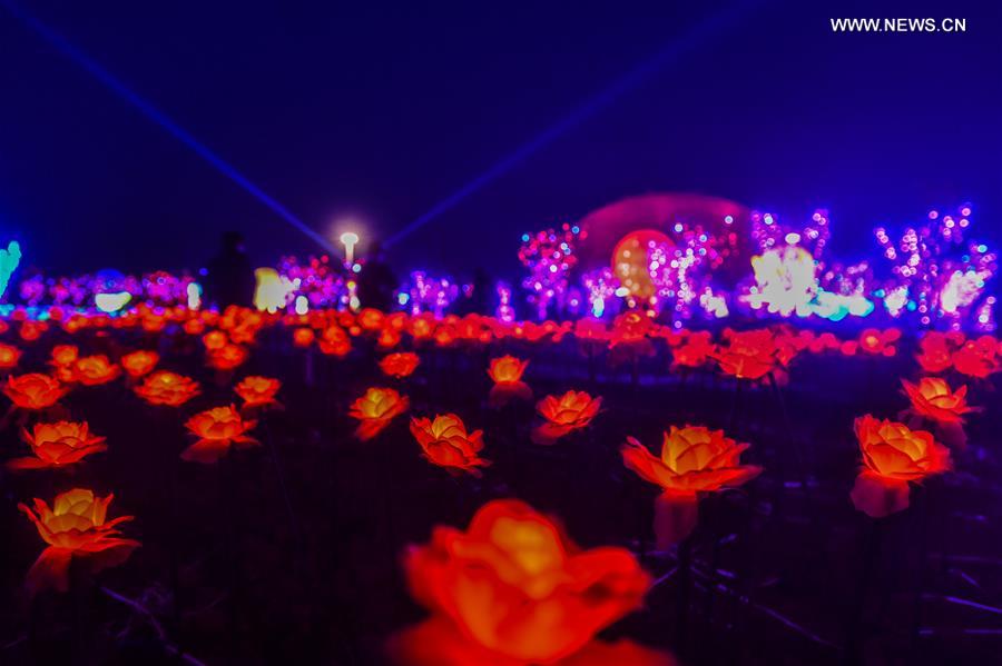 Thousands of rose-shaped lights light up county