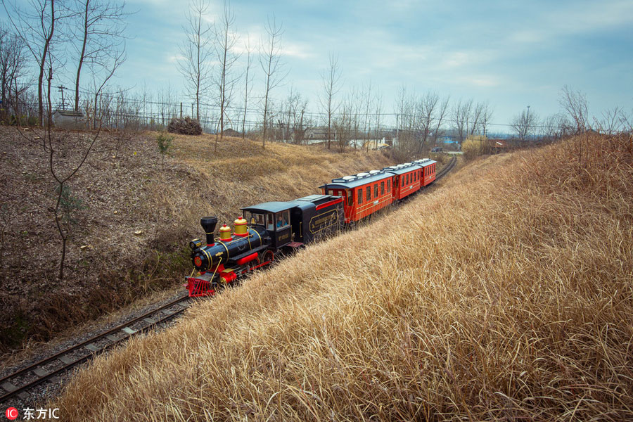 A break from city hustle on 'slowest train'