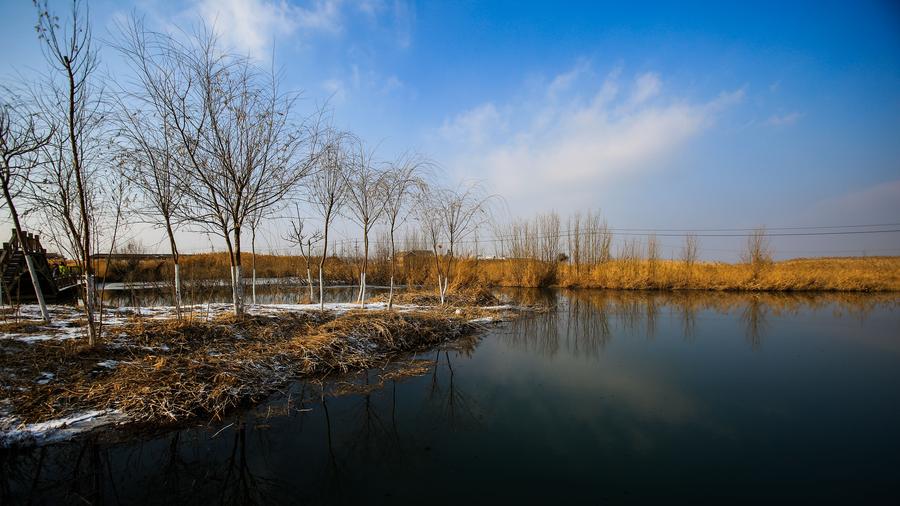 Inside Zhangye National Wetland Park in Northwest China