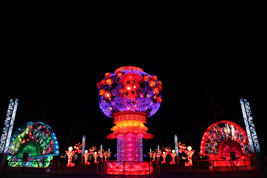 Lanterns light up Beijing rose park for Spring Festival