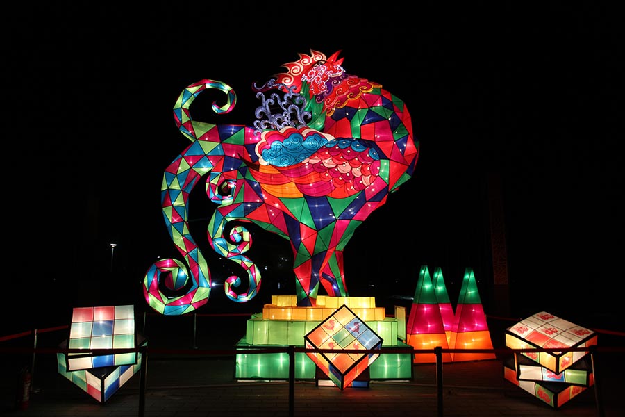 Lanterns light up Beijing rose park for Spring Festival