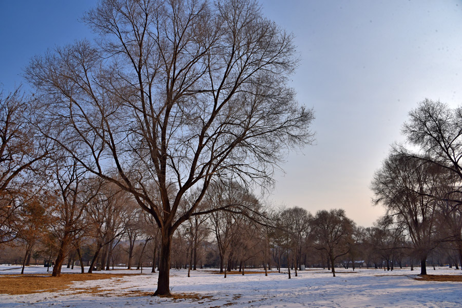 Summer resort turns into winter paradise