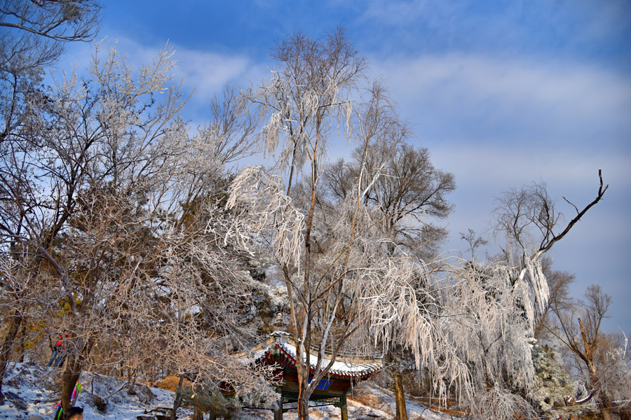 Summer resort turns into winter paradise