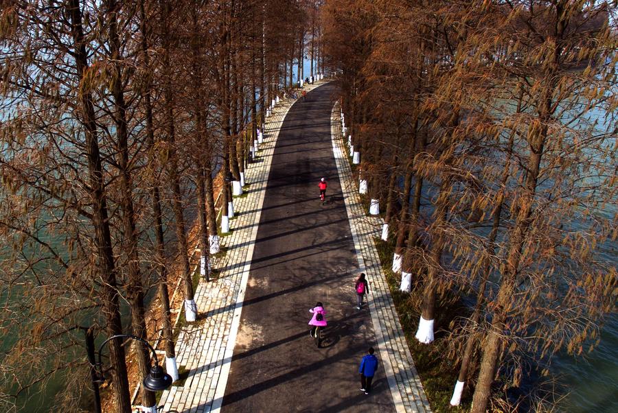 Greenways across Donghu Lake in Central China's Wuhan