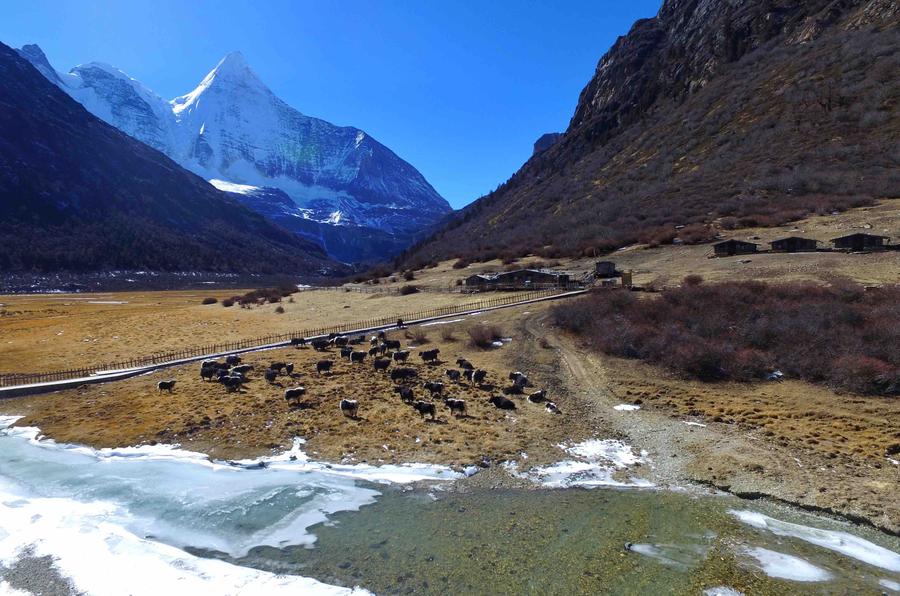 Daocheng Yading, a winter fairyland