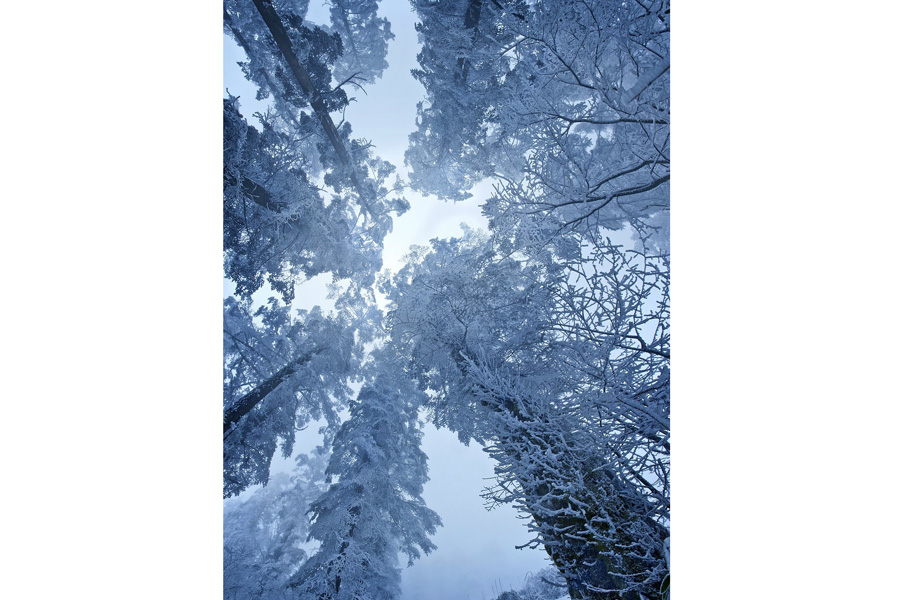 White snow turns Emei Mountain into a winter fairyland