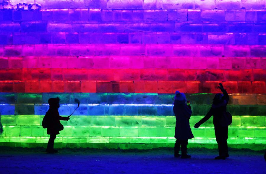 Harbin Ice and Snow World opened to public in NE China