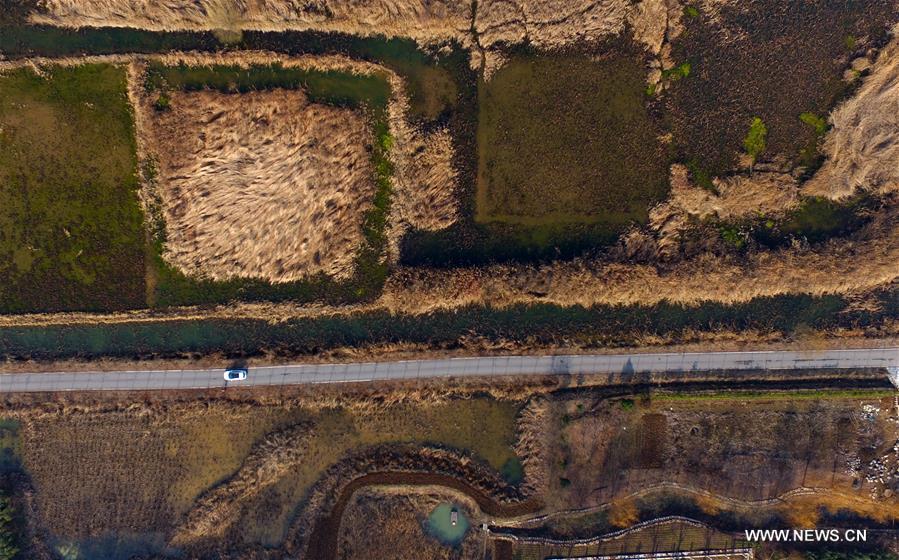 Scenery of canal wetland park in E China