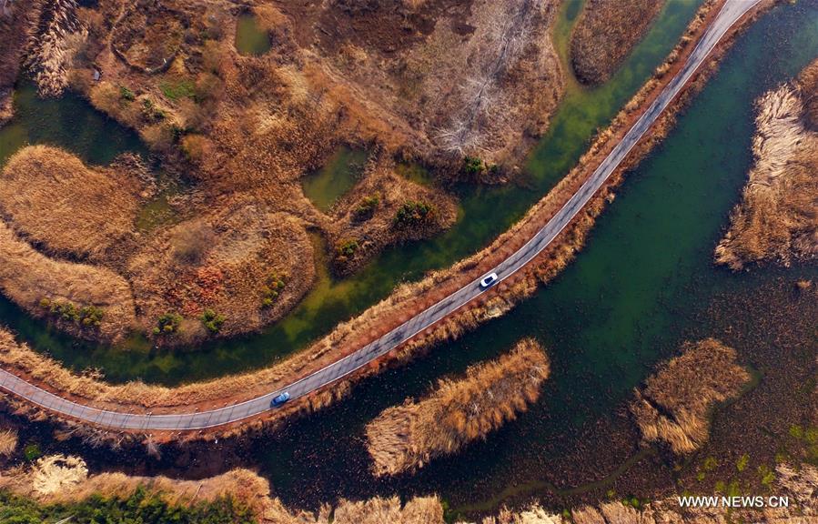 Scenery of canal wetland park in E China