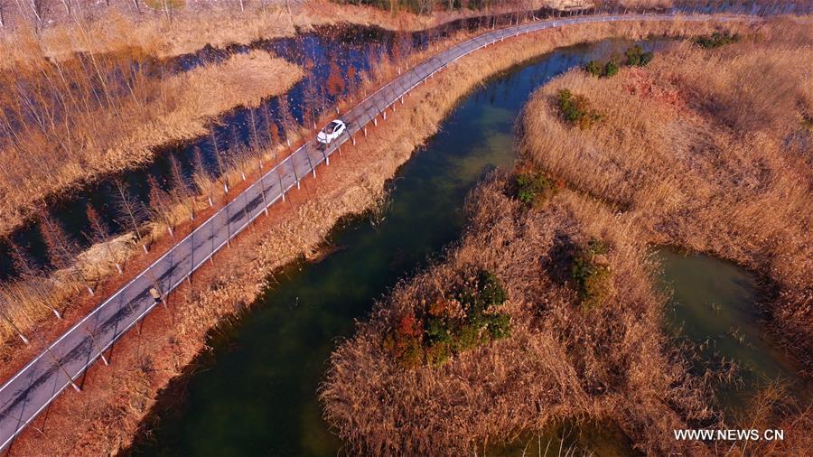 Scenery of canal wetland park in E China