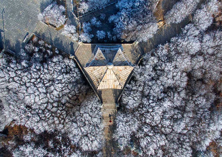 Frosted beauty captured in rime at Huaguo mountain, Jiangsu province