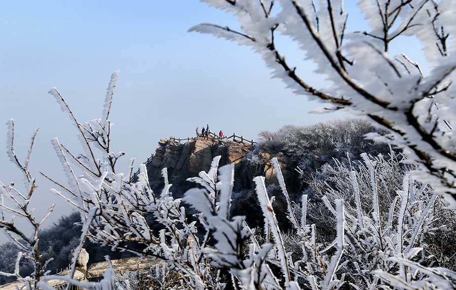 Frosted beauty captured in rime at Huaguo mountain, Jiangsu province