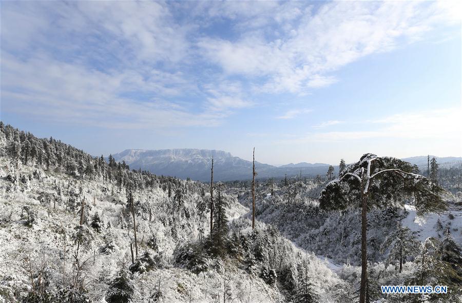 Snow-covered Longcanggou National Forest Park