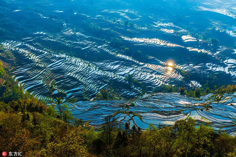 Honghe Rice Terraces: Masterpiece of Hani people