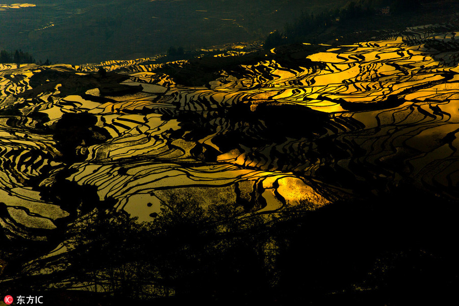 Honghe Rice Terraces: Masterpiece of Hani people