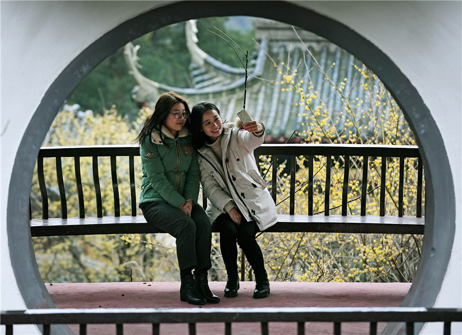 Scenery of wintersweets in full blossom in E China