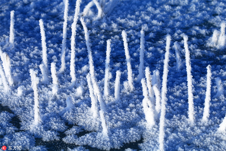 Snow and ice turn Greater Hinggan Mountains a magical world