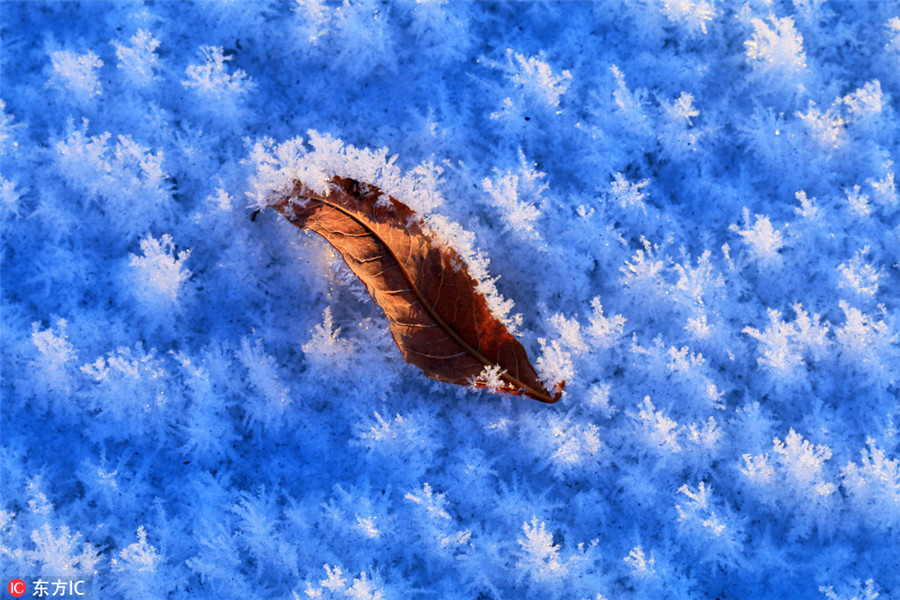 Snow and ice turn Greater Hinggan Mountains a magical world