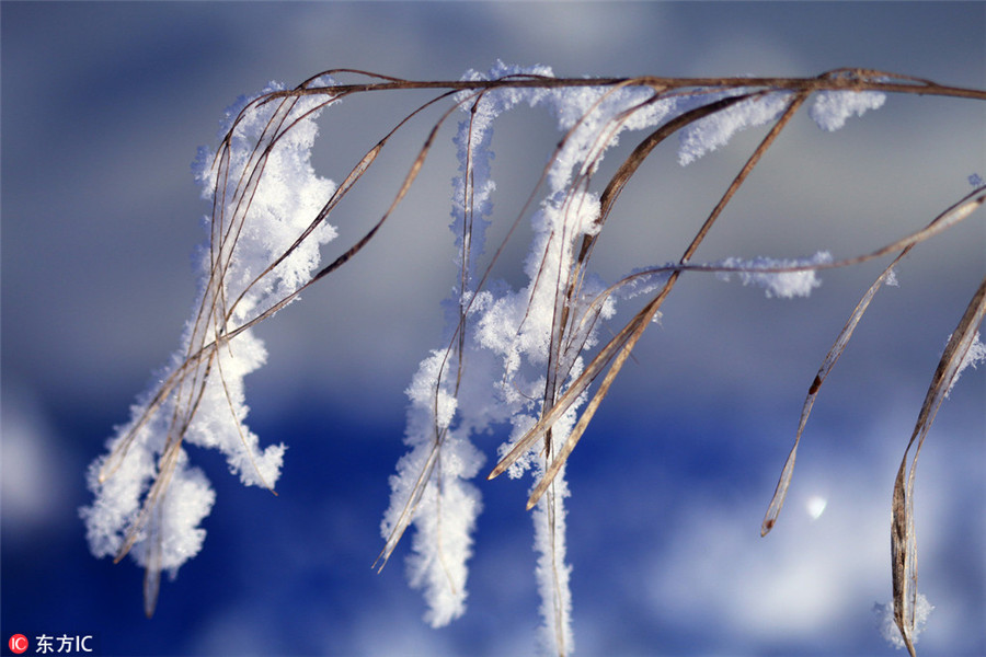 Snow and ice turn Greater Hinggan Mountains a magical world