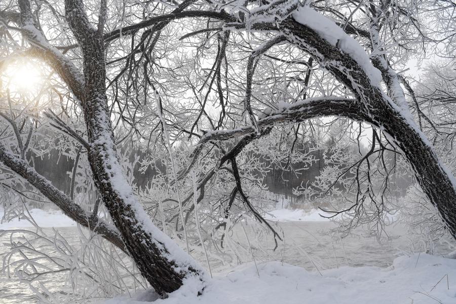 Amazing rime scenery seen at Kurbin River in NE China