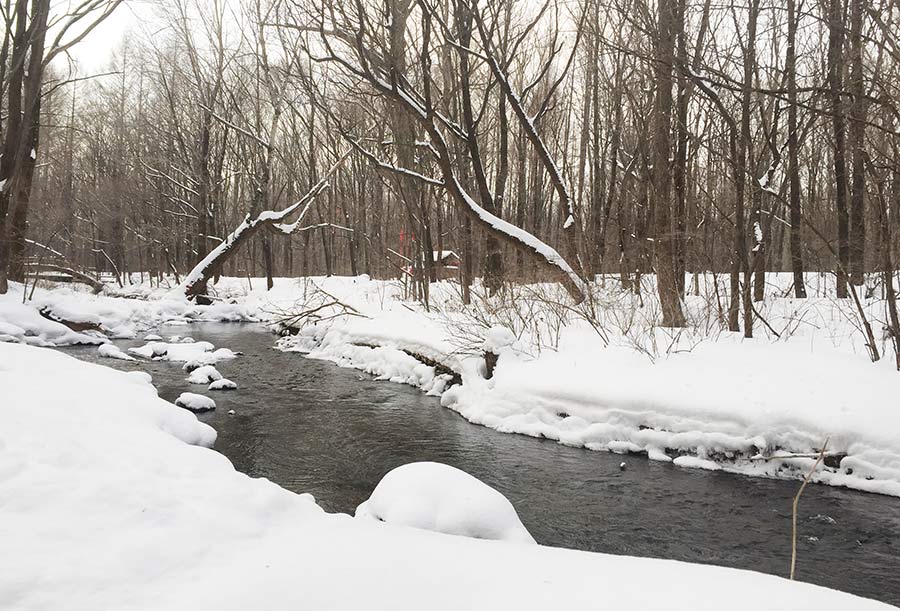 A winter wonderland in Northeast China's Tonghua