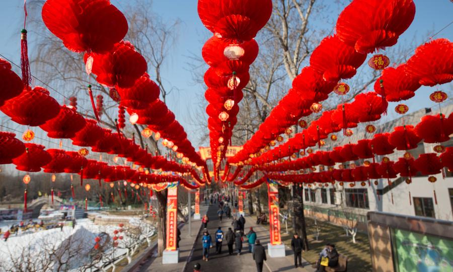 Longtan Park decorated with red lanterns to greet Spring Festival