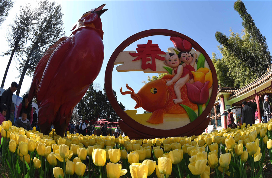 Flowers blossom in Yunnan as spring approaches