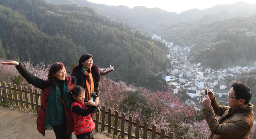 Scenery of blooming plum flowers in Anhui