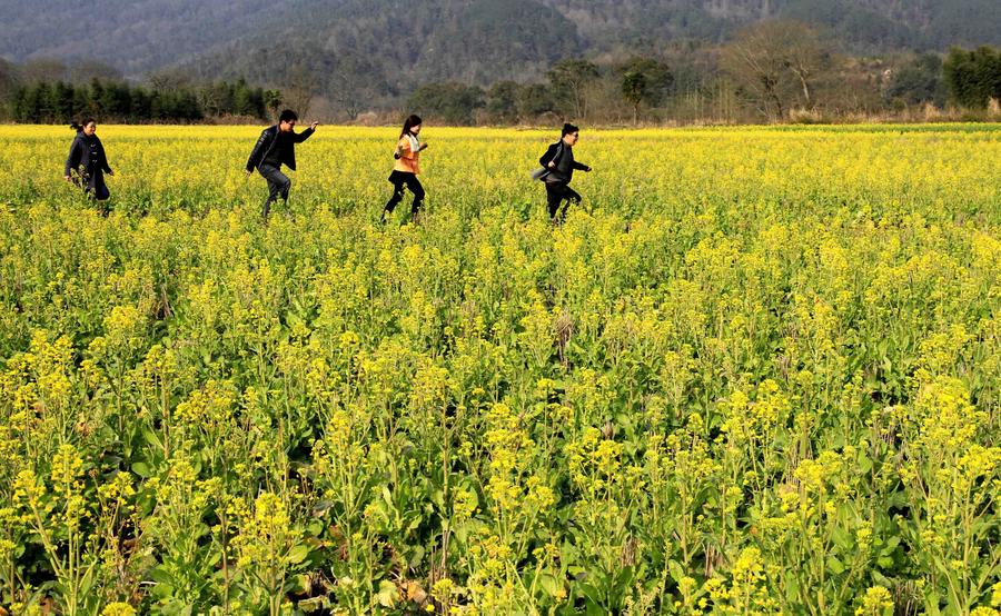 Fresh spring scenery brightens China