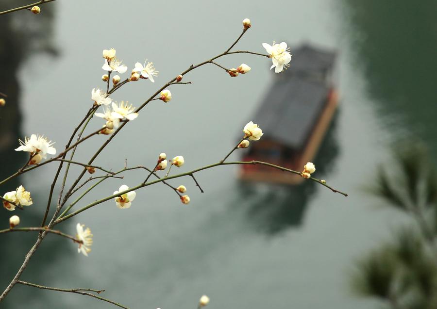 Fresh spring scenery brightens China