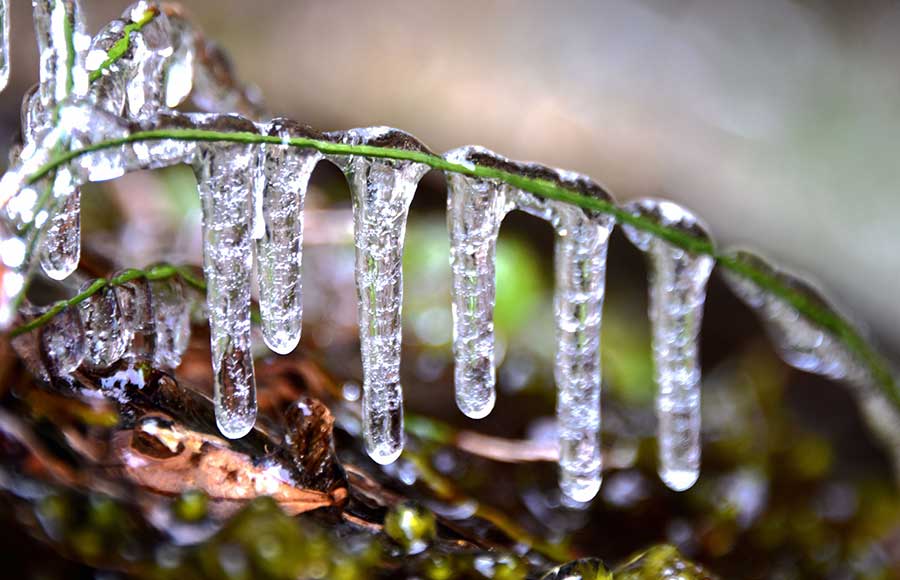 Icicles add to waterfall beauty