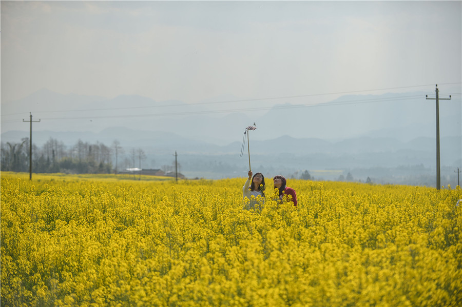 Spring flower festival brightens Yunnan village