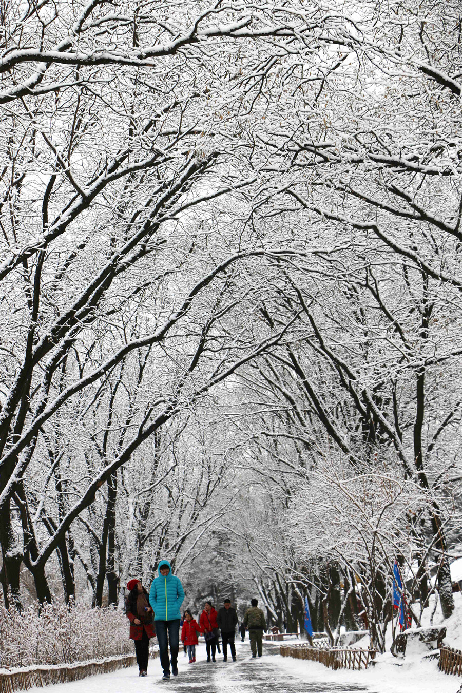 Snowfall hits N China's Hebei