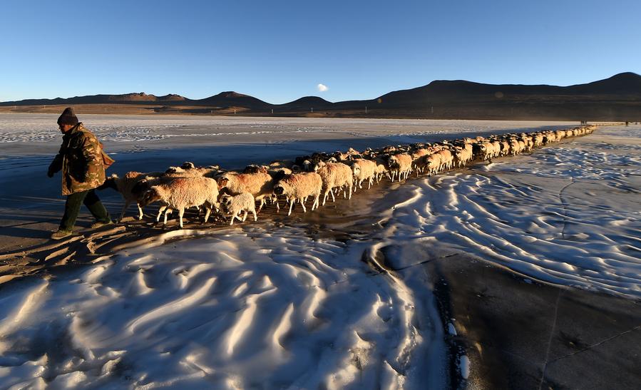 An icy path to pastures new