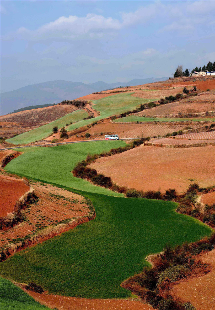 Scenery of red earth terraces in SW China's Kunming