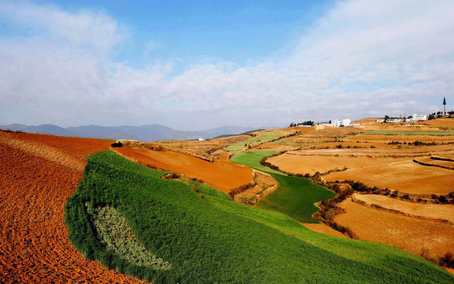 Scenery of red earth terraces in SW China's Kunming